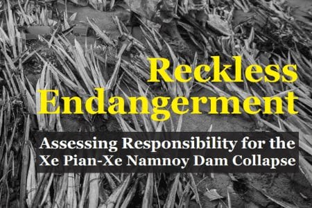 Reckless Endangerment Cover