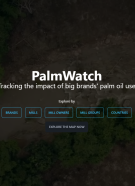 PalmWatch Cover Image